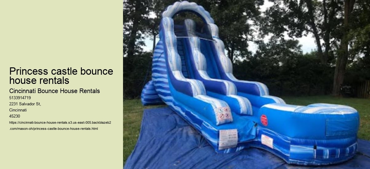 Princess castle bounce house rentals